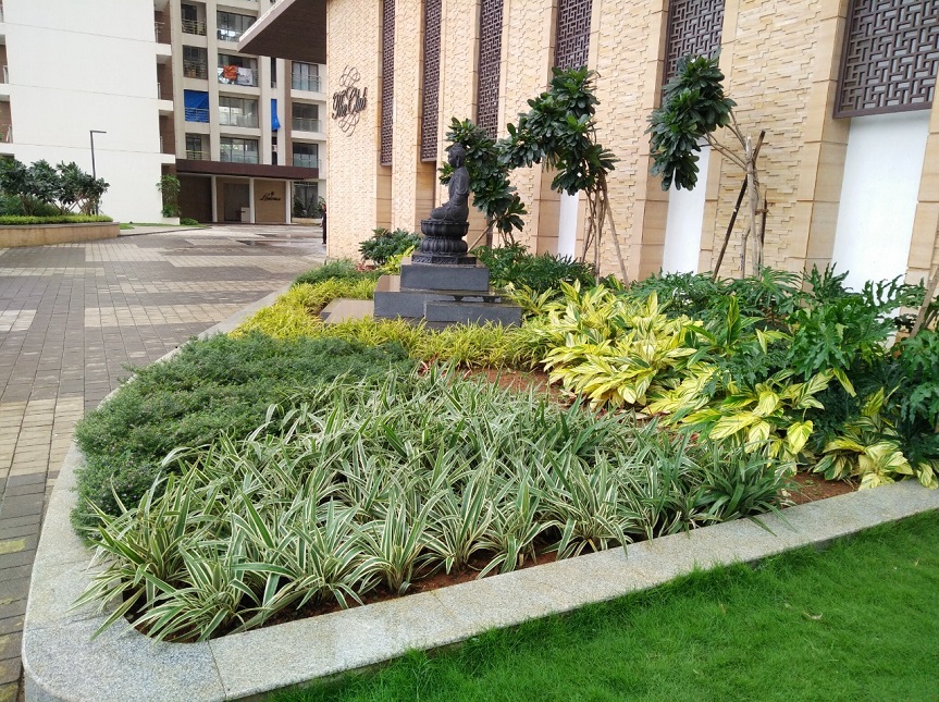 Greenscape Creation